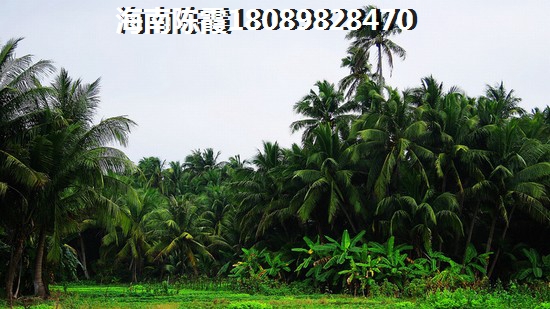 甘肃的房价2022年能不能跌？